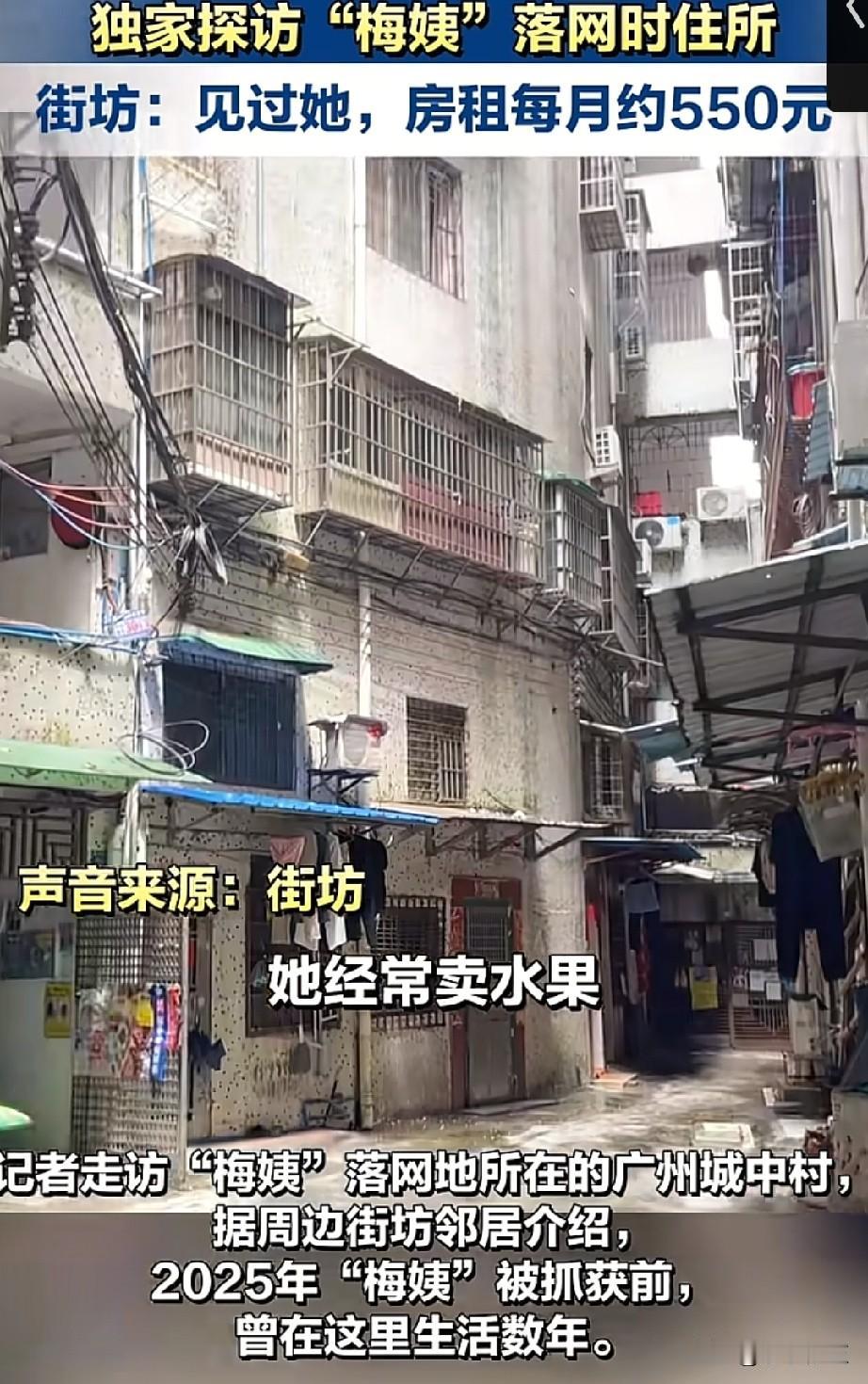 梅姨就住在广州梅园的一个出租屋内，有经常见她的网友说梅姨脸很瘦，背也是驼的，也不