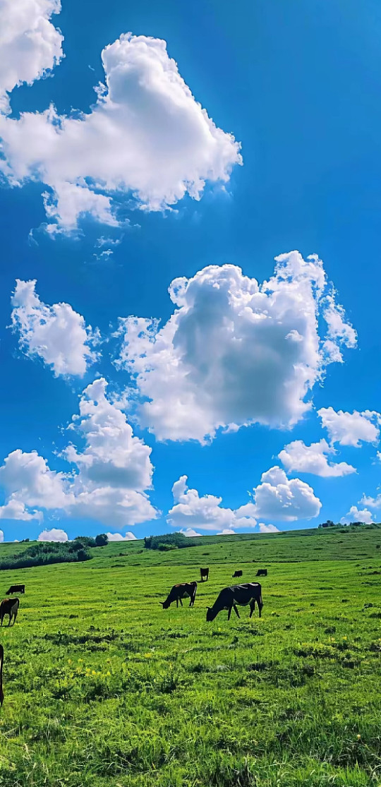 终于知道为什么天空是蓝色的了太阳光由多种色光组成，蓝光波长较短，最容易被空气中的