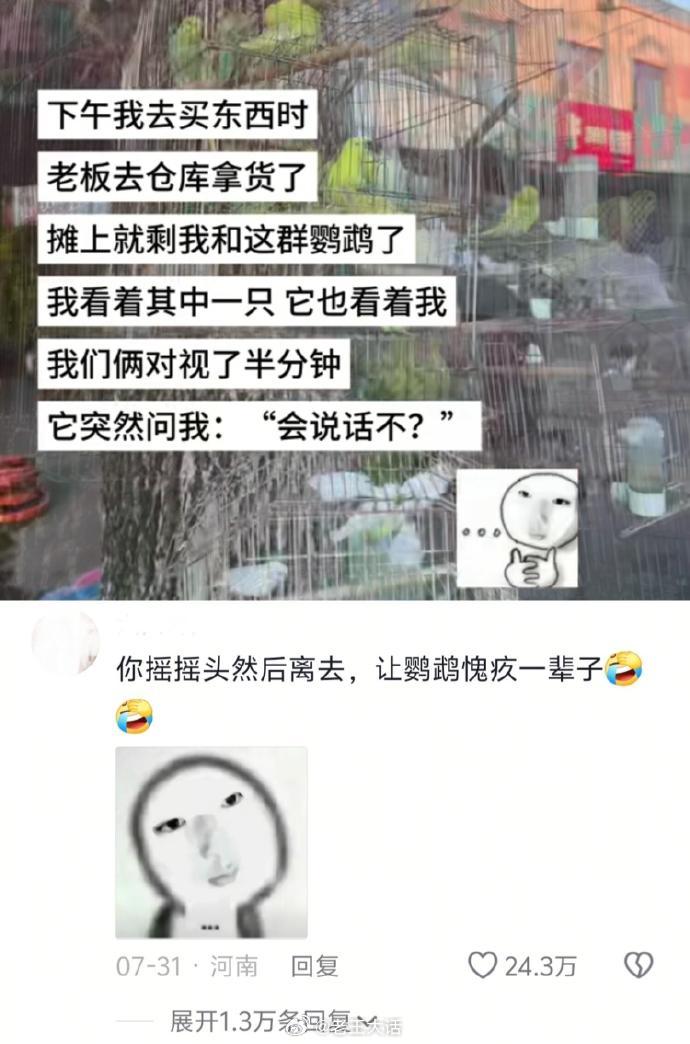 让鹦鹉🦜愧疚一辈子的2.0W个方法哈哈哈​​​