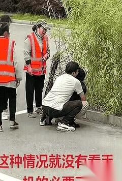 有人在问，为什么现在感觉女的出轨越来越多了。其实不是。是以前的笼子太结实。