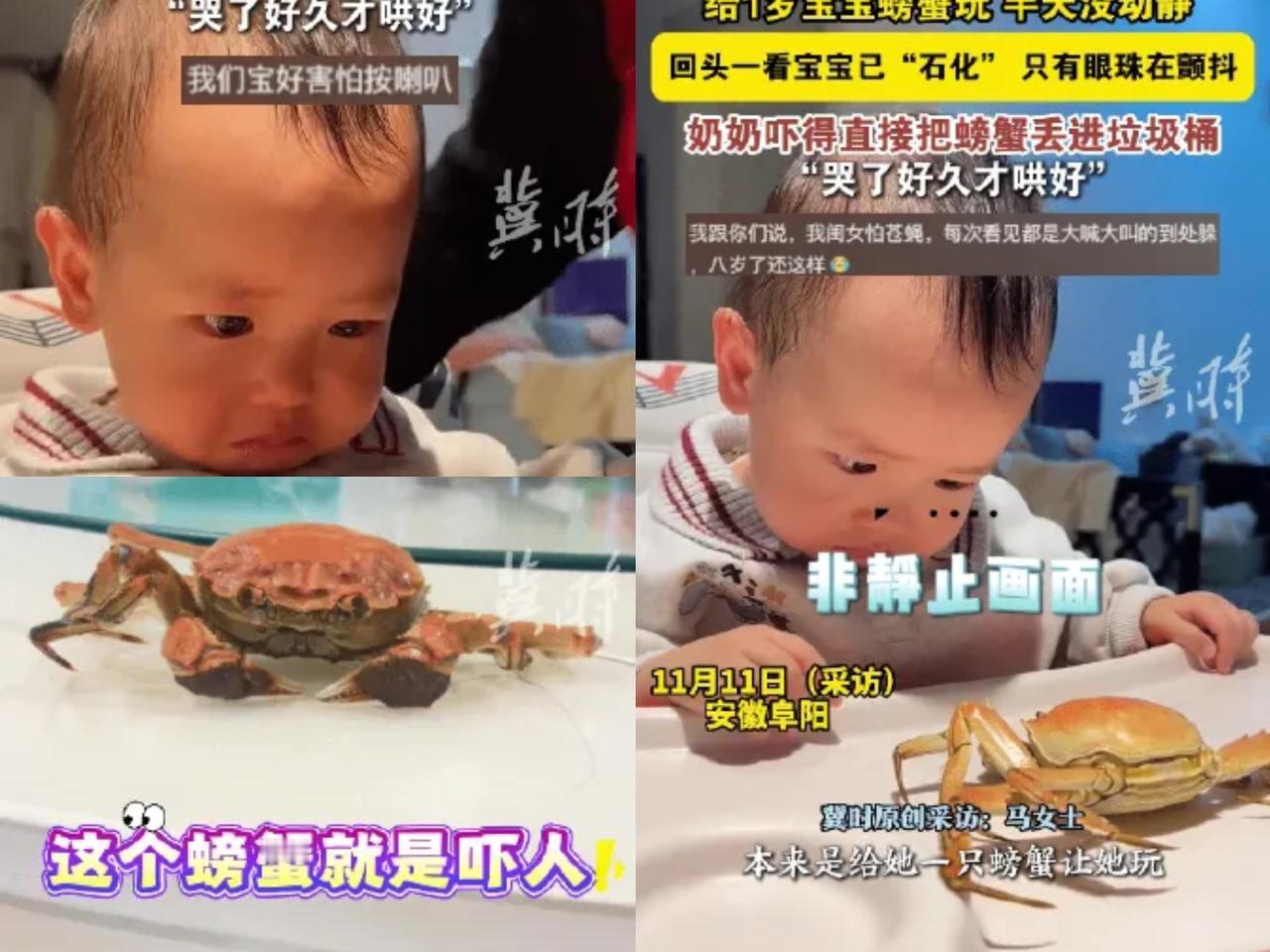 太可怕了！安徽一女子把煮熟螃蟹给宝宝玩，没想到宝宝一直盯着螃蟹看，半天都