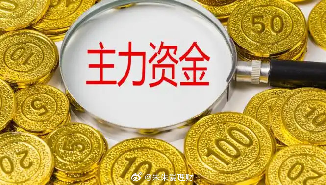 主力疯狂扫货！今日十大吸金王出炉，科技与蓝筹齐飞！今天的A股，主力资金投出了关键