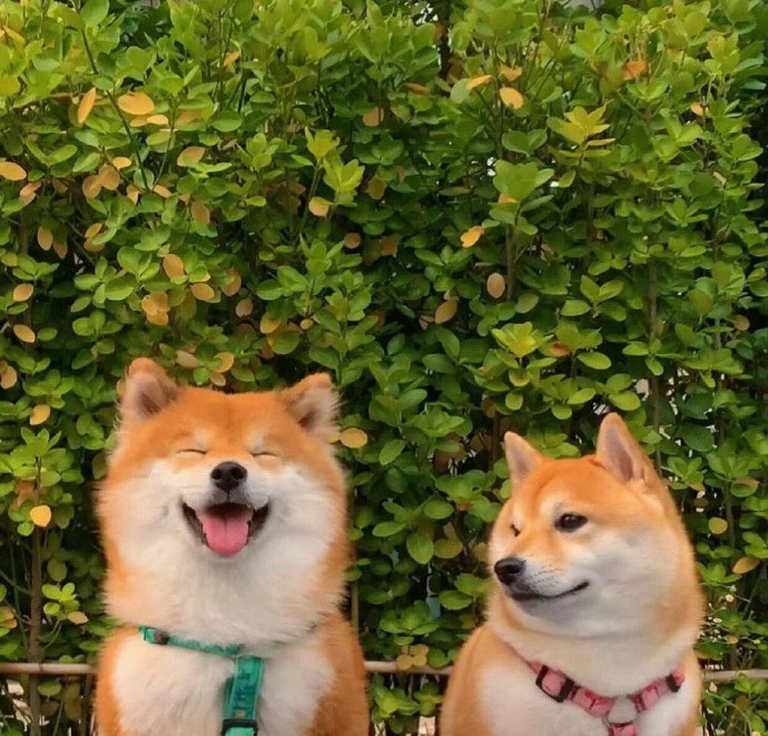 𝕲𝖔𝖔𝖉𝖑𝖚𝖈𝖐⸜❤︎⸝⁺¹ºº“无所图越简单越幸福”