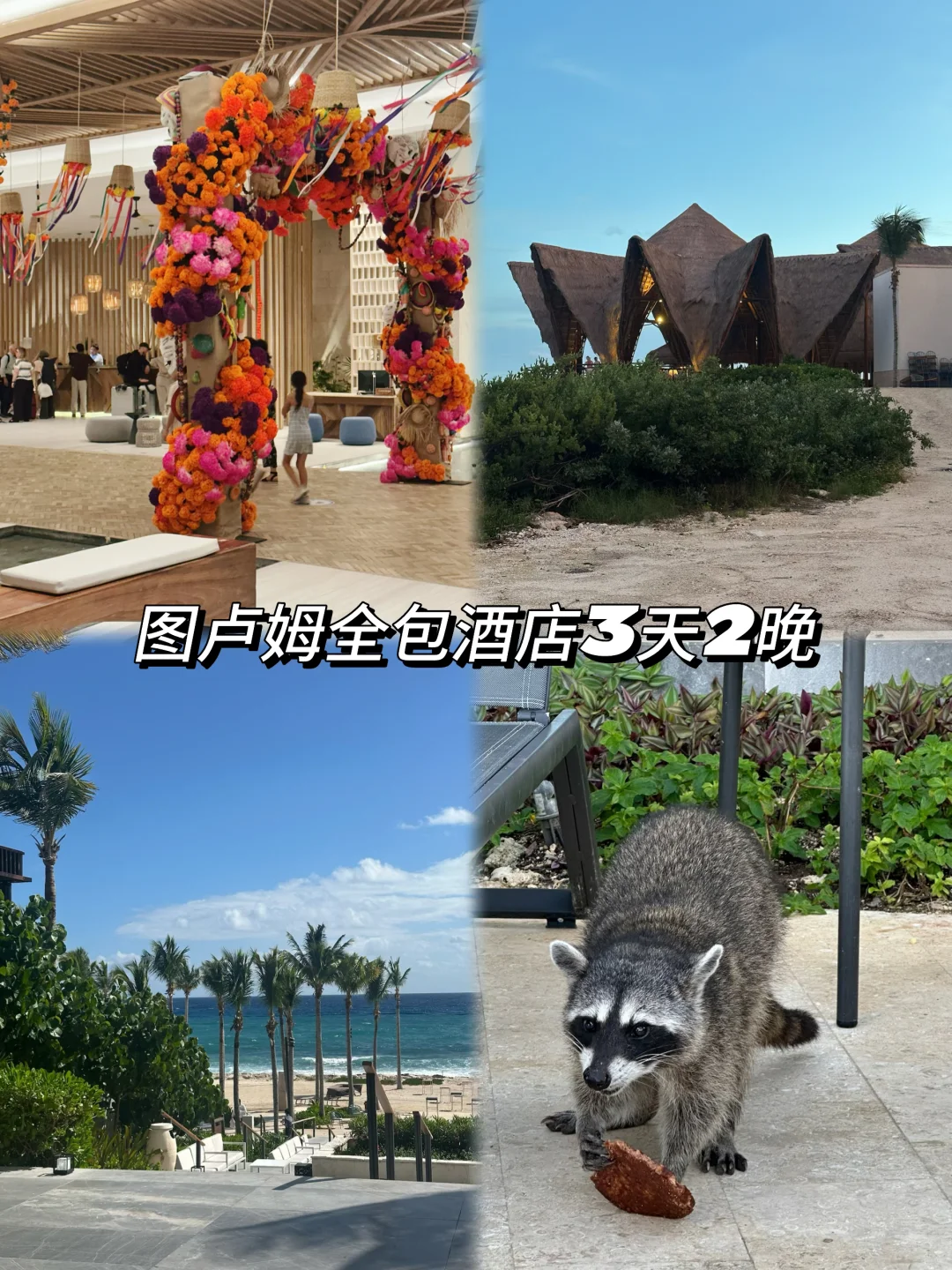 🇲🇽 图卢姆希尔顿Riviera全包酒店体验