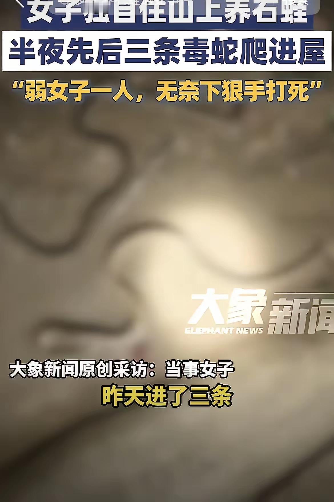 胆子真大！湖南永州三条毒蛇闯入女子房间内，企图对女子进行攻击，女子身手矫捷，用木