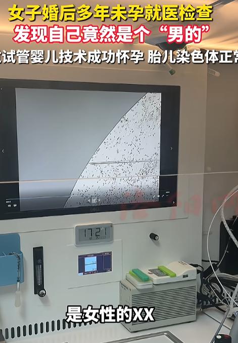 洛阳市妇幼保健院接诊了一例极为罕见的人体嵌合体不孕病例。河南洛阳的林女士（化姓）