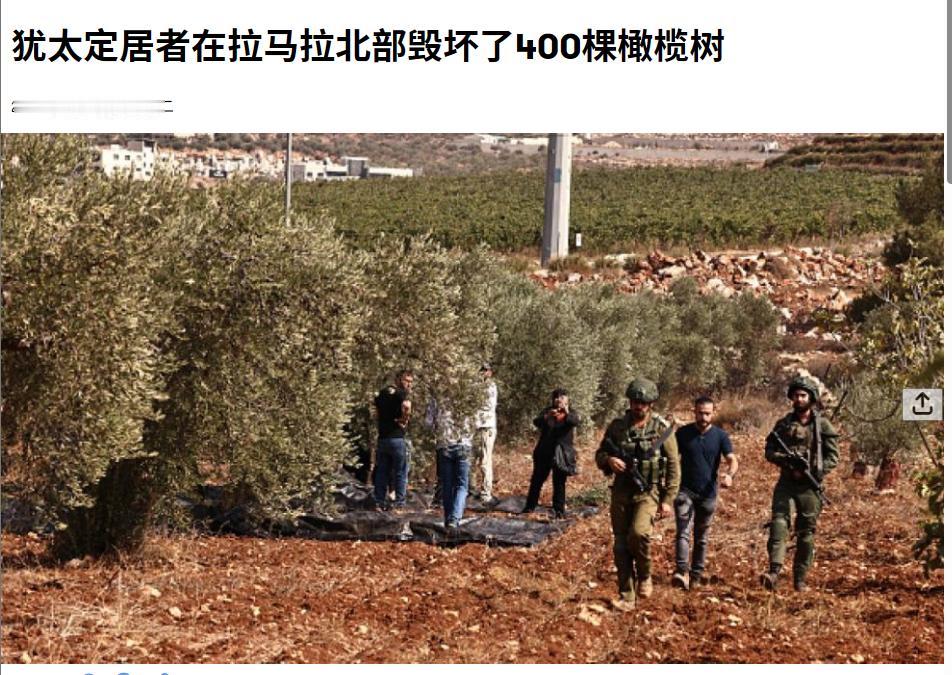 以色列的坏是刻在骨子里的，以色列毁掉了勒斯坦农民私有的400多棵橄榄树，这些是巴
