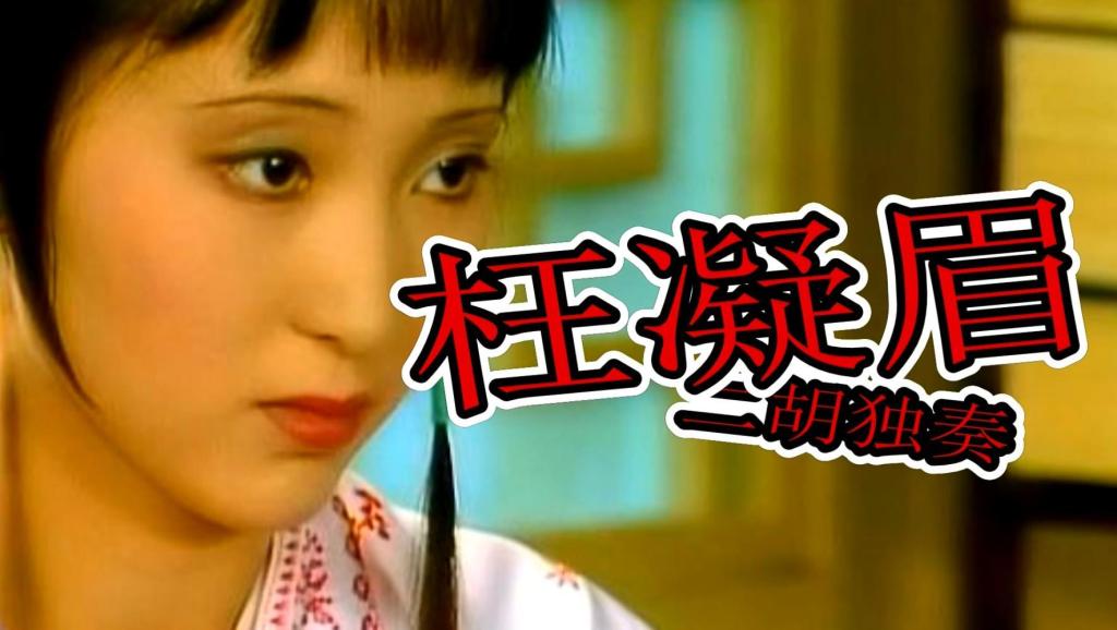 二胡独奏《红楼梦 红豆曲.》演奏 李维君