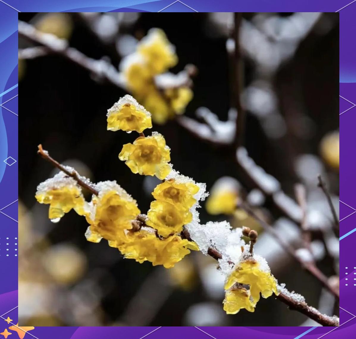 喜欢和爱，差的是一辈子的心意你分得清喜欢和爱吗？一句话戳破真相：喜欢是心动