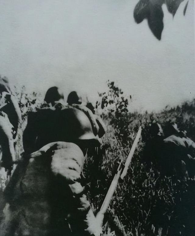 班长活捉蒋军师长：我不要功，只想当排长，军长：提两级，当连长当三十一军在鼓浪