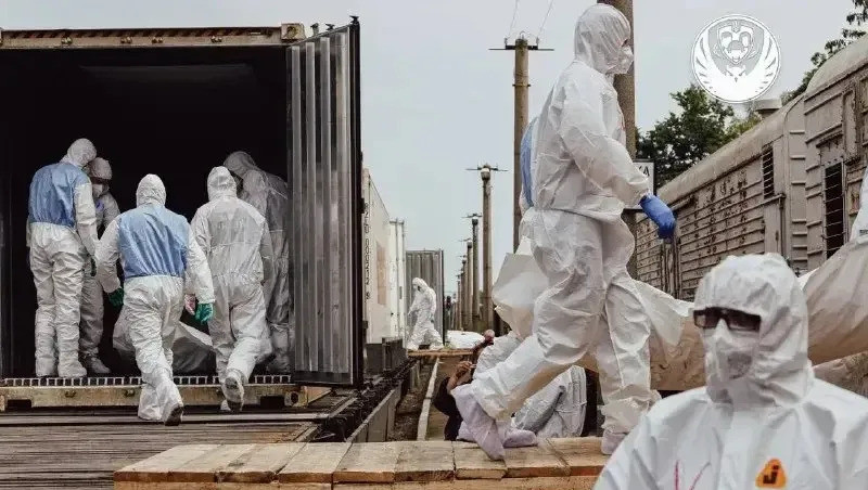 乌克兰士兵遗体多到数不清了泽连斯基估计要崩溃了！你想想，
