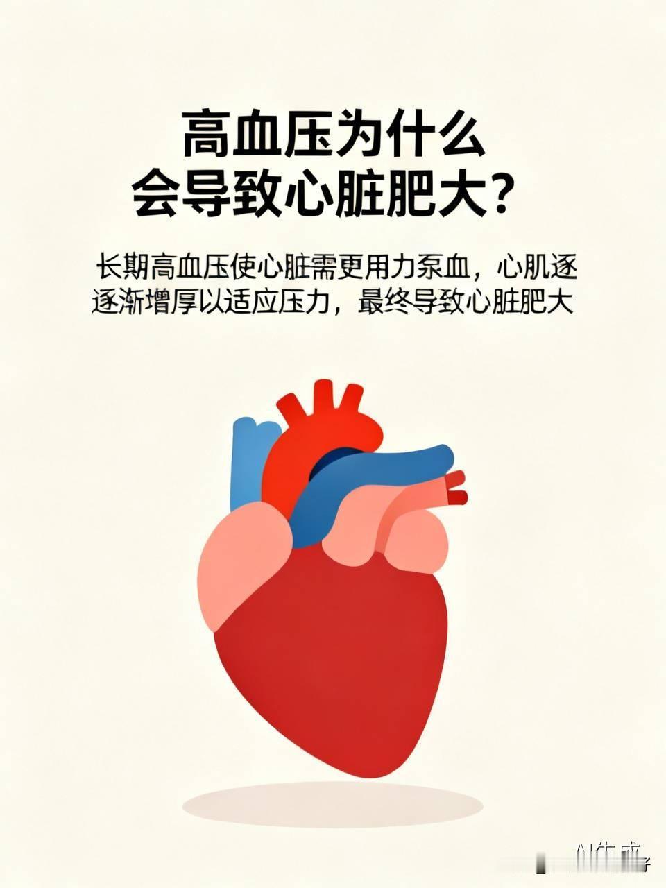 高血压为什么会导致心脏肥大？心脏就像一台永不停歇的发动机，但长期高血压会让它