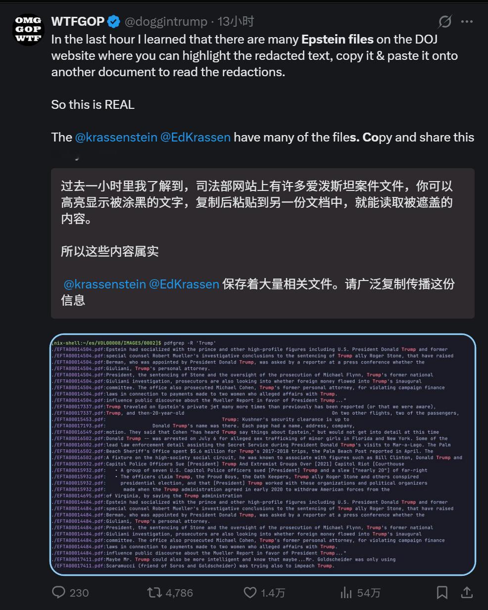 草台班子还是有意为之？美政府涂黑公布的爱泼斯坦文件竟然可以复原！好家伙，经过多人