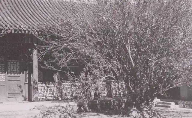 1959年秋，有关部门派人来到吴家花园，邀请彭老总参加国庆十周年大典。彭老总摇了