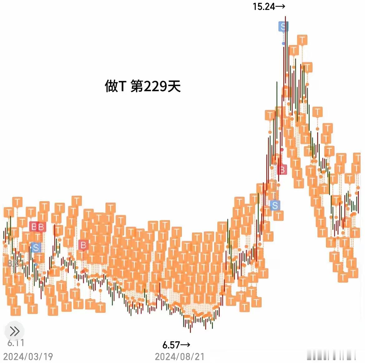 一网友特别喜欢做T，他晒出自己连续229天做T的操作图，看着让人振奋！股价自6元