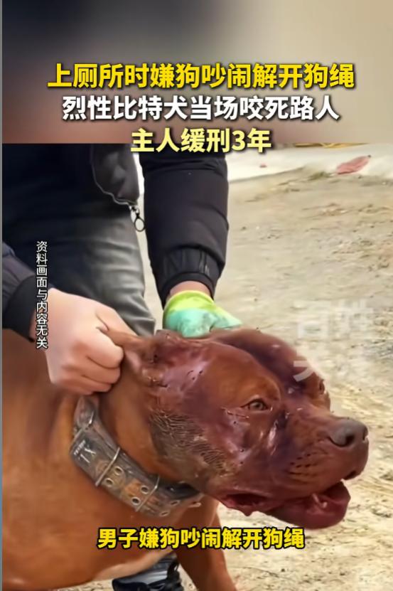 “无妄之灾啊！”6月29日报道，重庆，一男子出门遛狗时，突然内急，他嫌两只大狗在