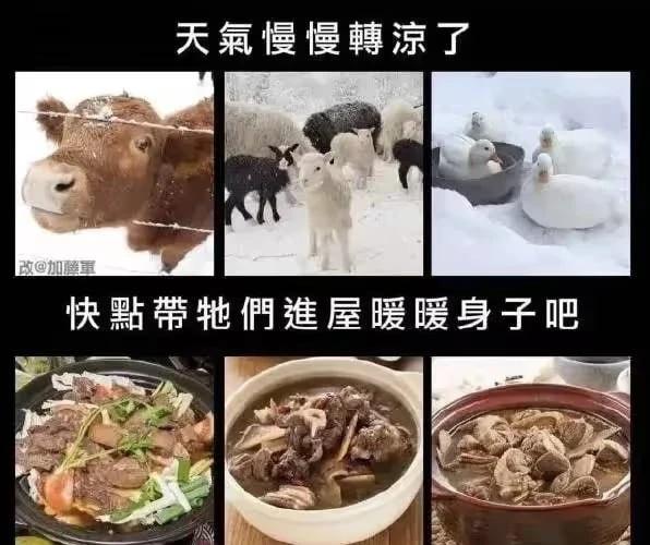 梗图分享（72）2025怪好玩的我的2025我的2026搞笑梗图此图