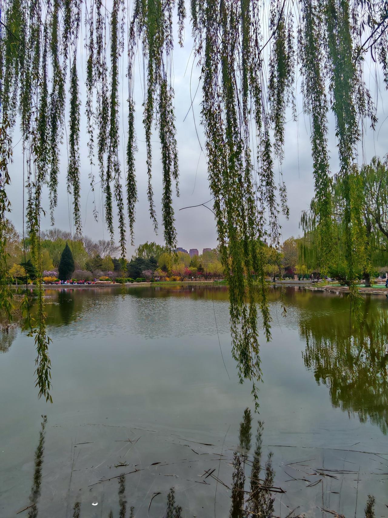 韩美林艺术馆公园里风景确实独好！就拿杭州的韩美林艺术馆来说，它在西湖西侧，是自然