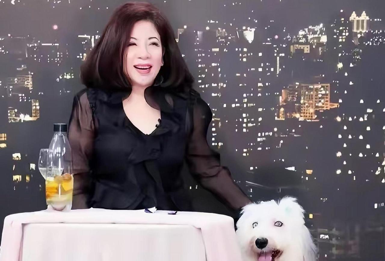 陈文茜对马英九的评价：罄竹难书马先生应该是满腹理想，也可能是台湾最后一个大公无
