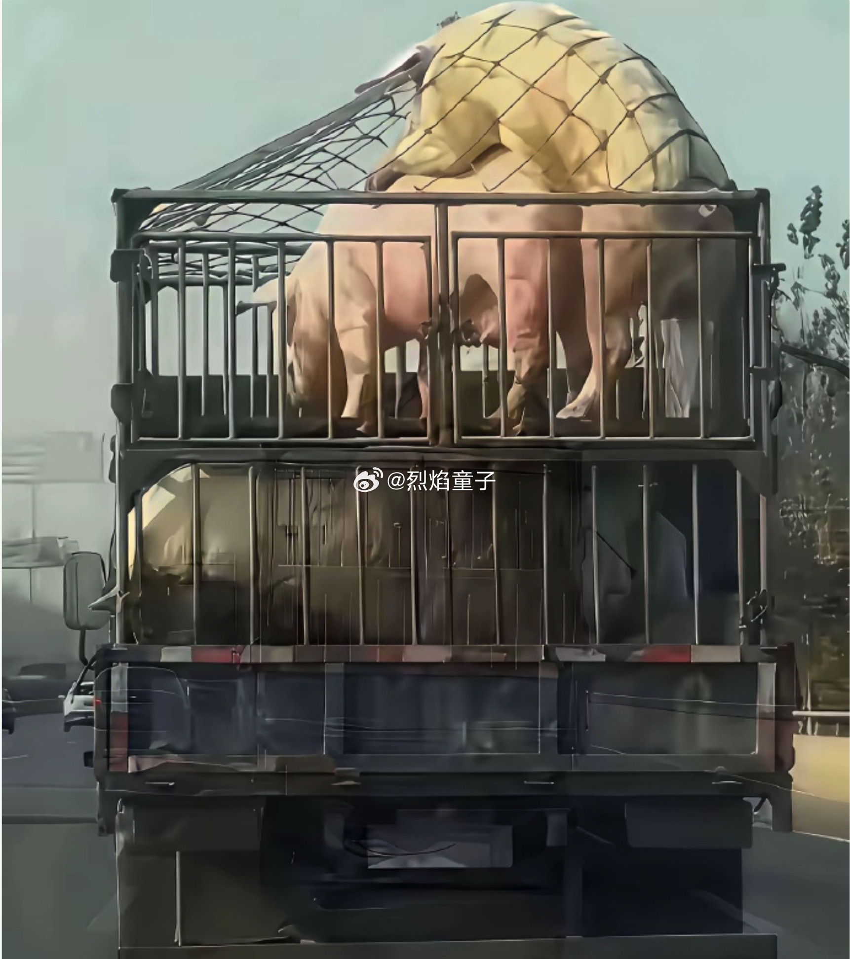 将来我死了，我还有孙子，我孙子死了，我还有重孙子，子子孙孙无穷匮也。这王屋与太行