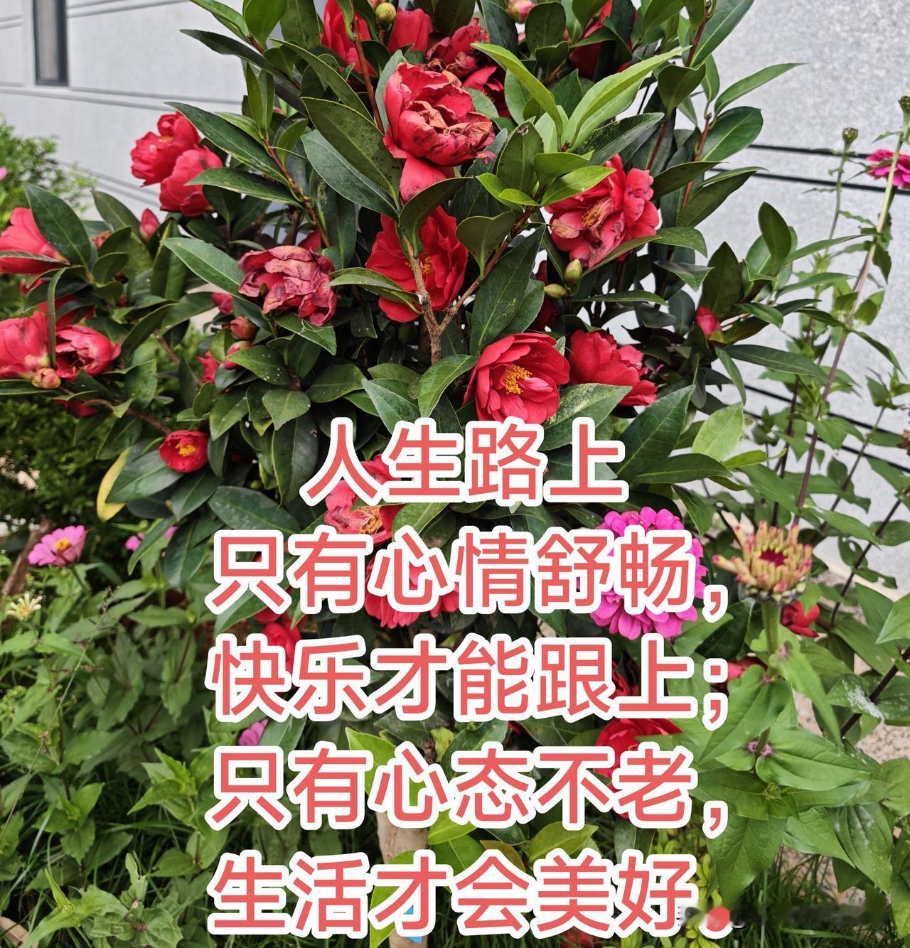 只有身体健康，才能拥有美好未来。冬日生活打卡季