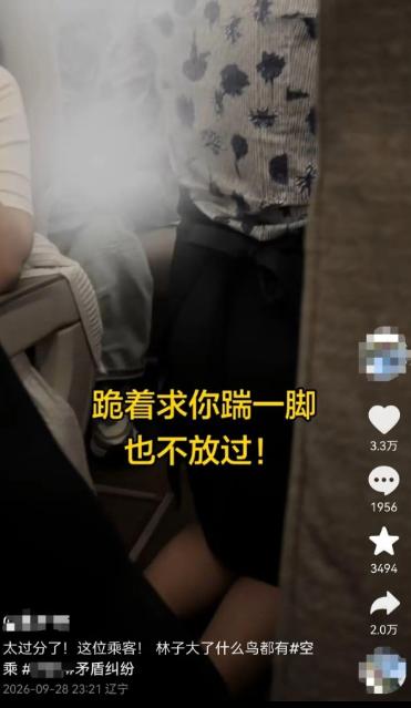 餐车碰了一下手肘，他竟逼空姐当众下跪！更离谱的是，身上几乎看不到伤，却闹得整个航
