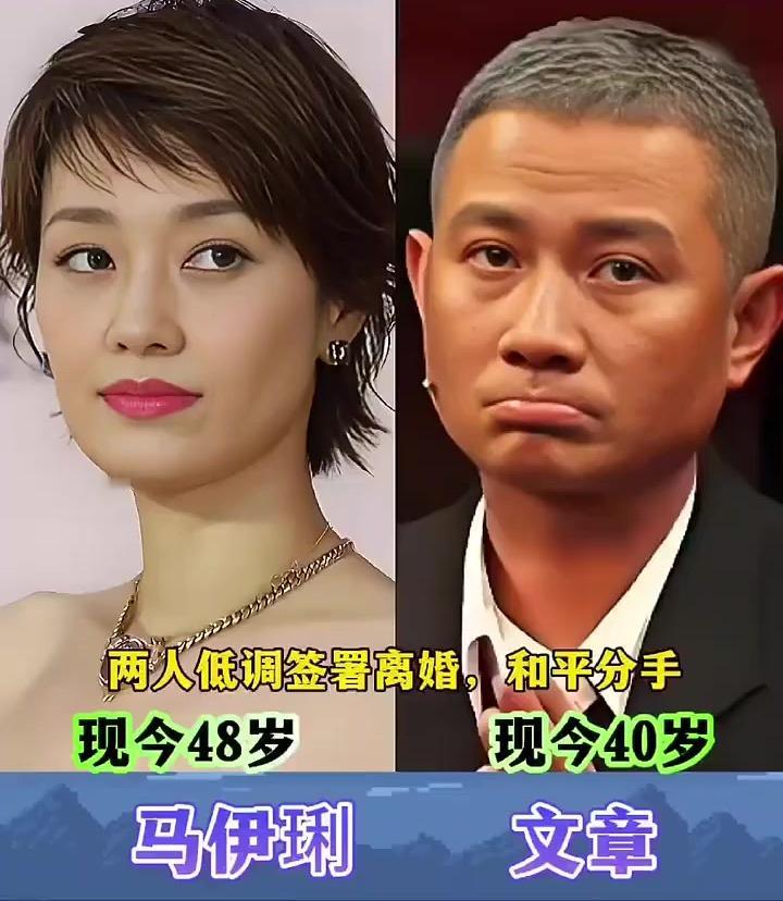 分手后💔各自安好的明星夫妻颜值PK