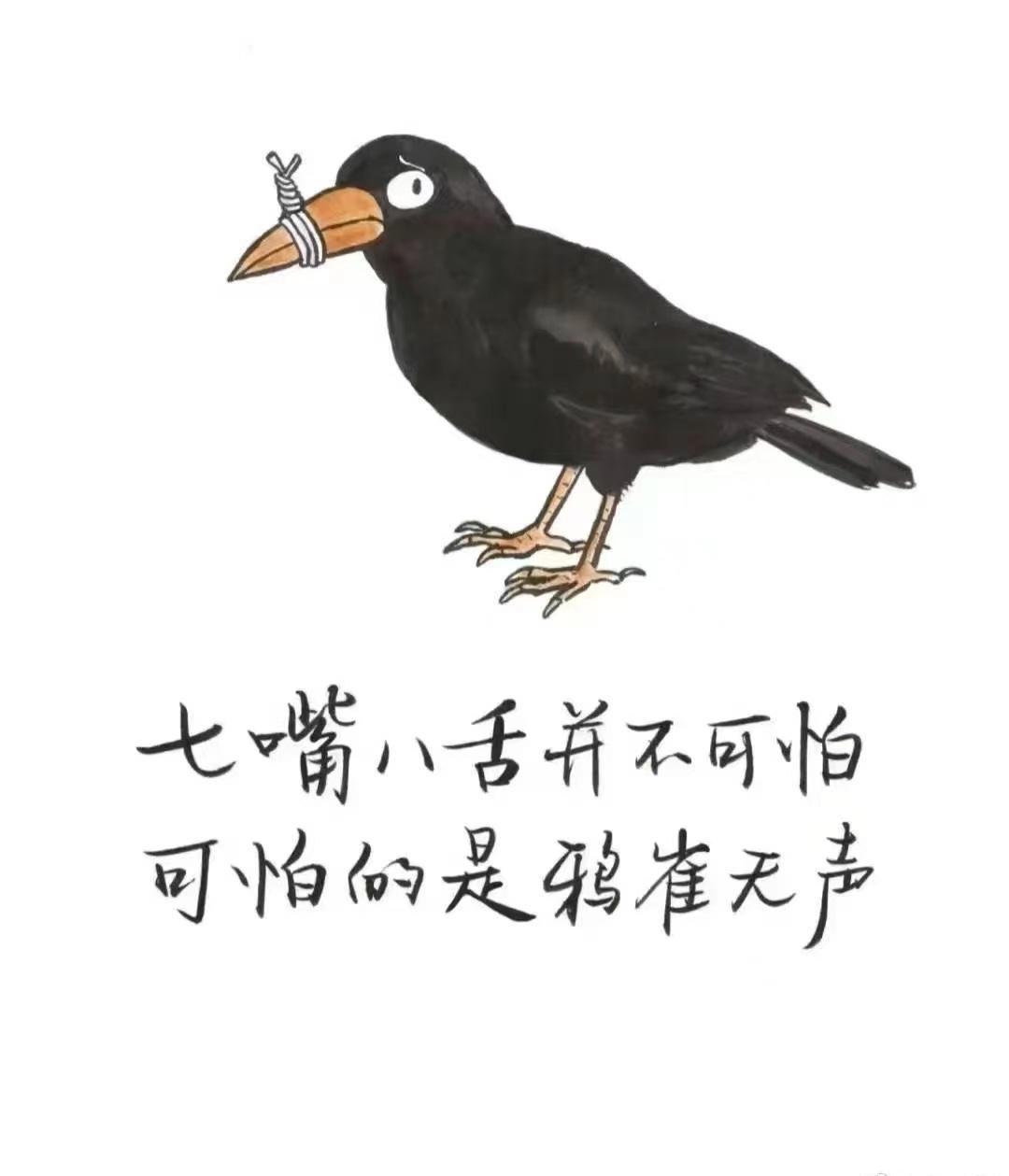 泽连斯基在联大点名中国，说中国帮俄罗斯。没证据。中国当场甩出一沓数据，扫码就