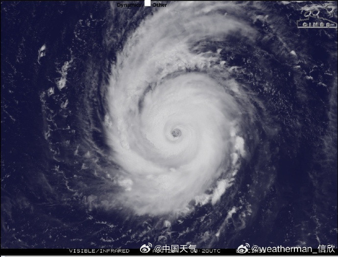 #白海豚最大风力达17级##白海豚持续时间或堪比巴威#【最大风力达17级！“白海