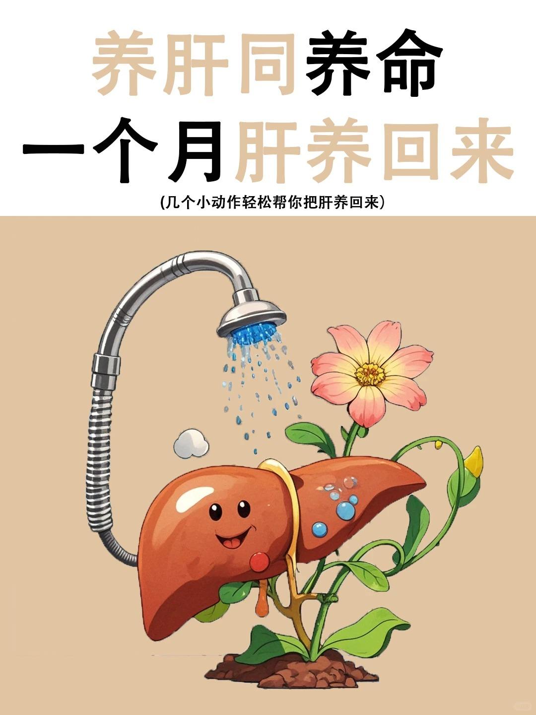 养肝护肝很简单,一个月把肝养回来！！！。
