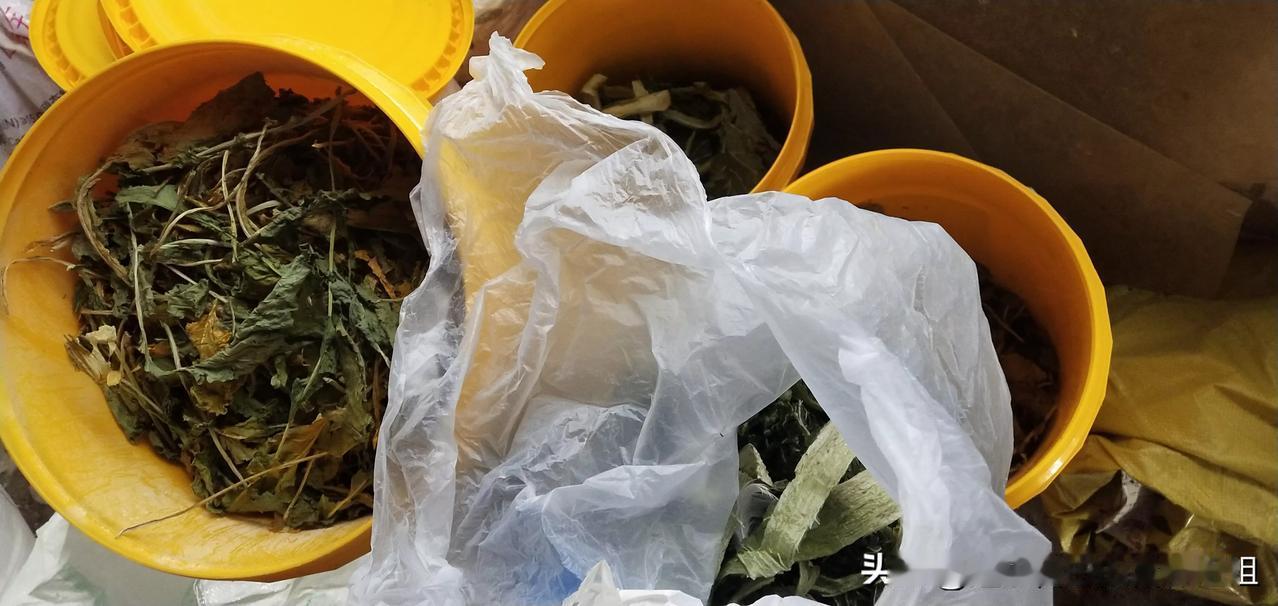 这个季节就是“青黄不接的时候”，冬天储存的大白菜和萝卜基本上吃完了，虽然超市