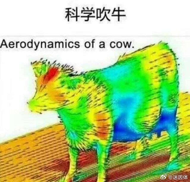 🐮memes迷译图