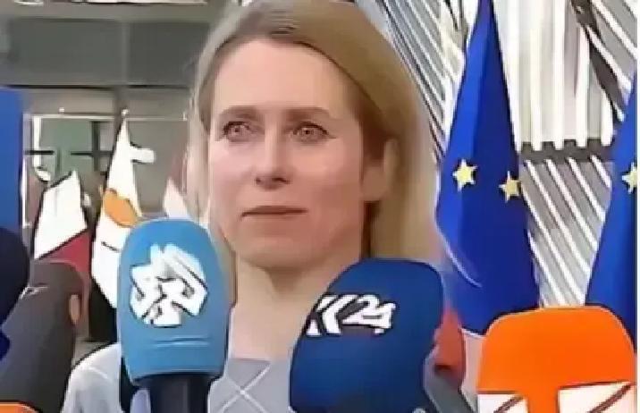 欧盟突然官宣！955亿欧元大计划，全面踢走中国科研机构谁也没想到，202