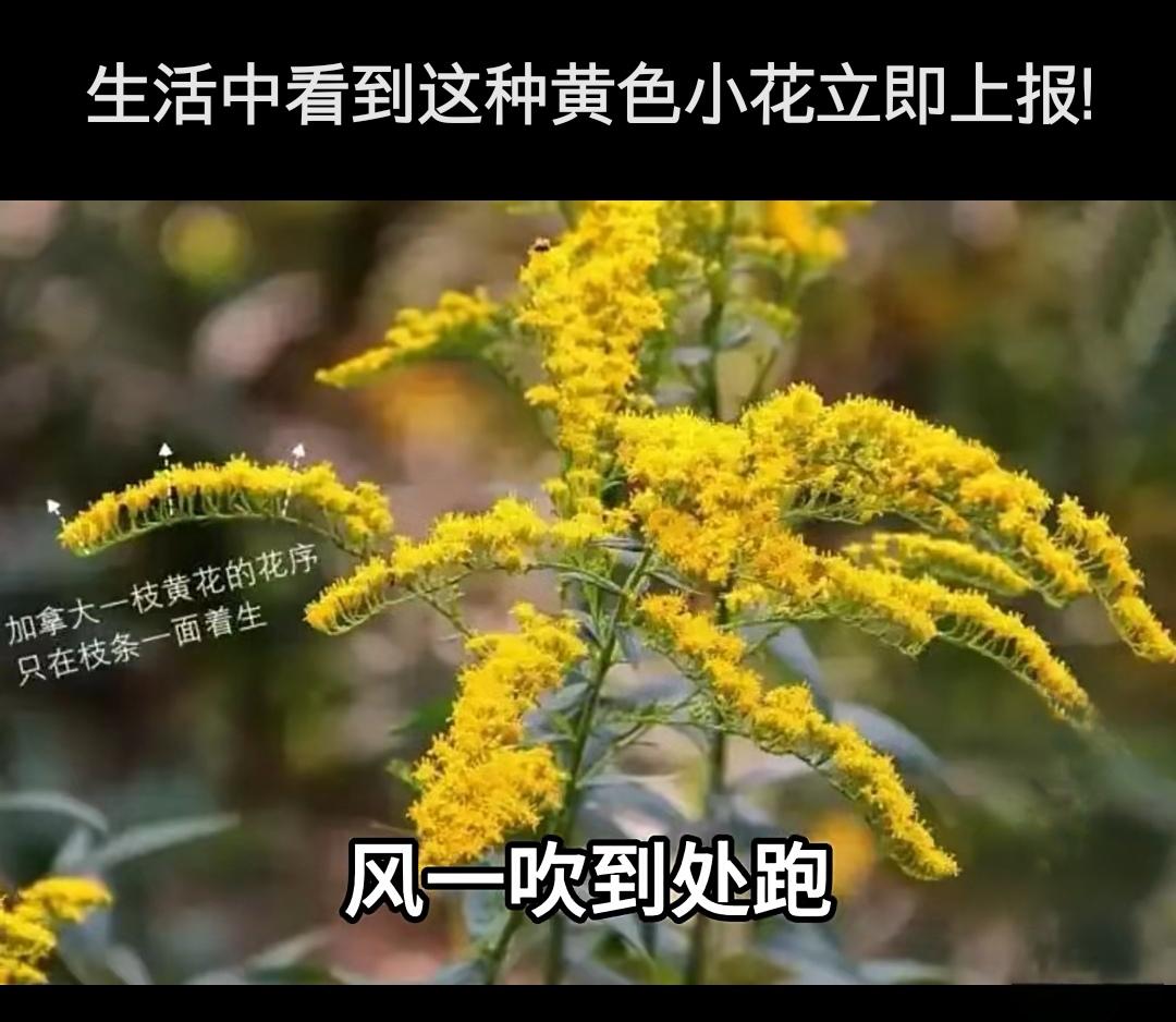 紧急提醒！假期出游看到这种