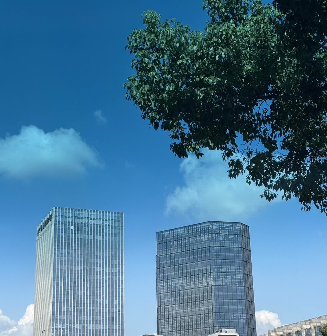 开车差点出车祸，太惊悚了！昨天上午开车回家给老公送点菜，途中手机架连带正