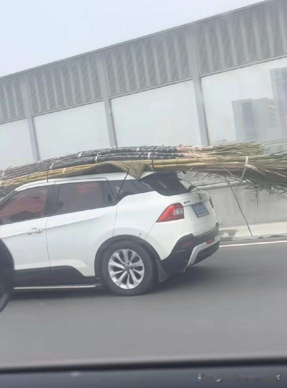 广西老表准备在高速卖甘蔗这是把老家的爱焊在车上了！高速上偶遇一辆白色SU