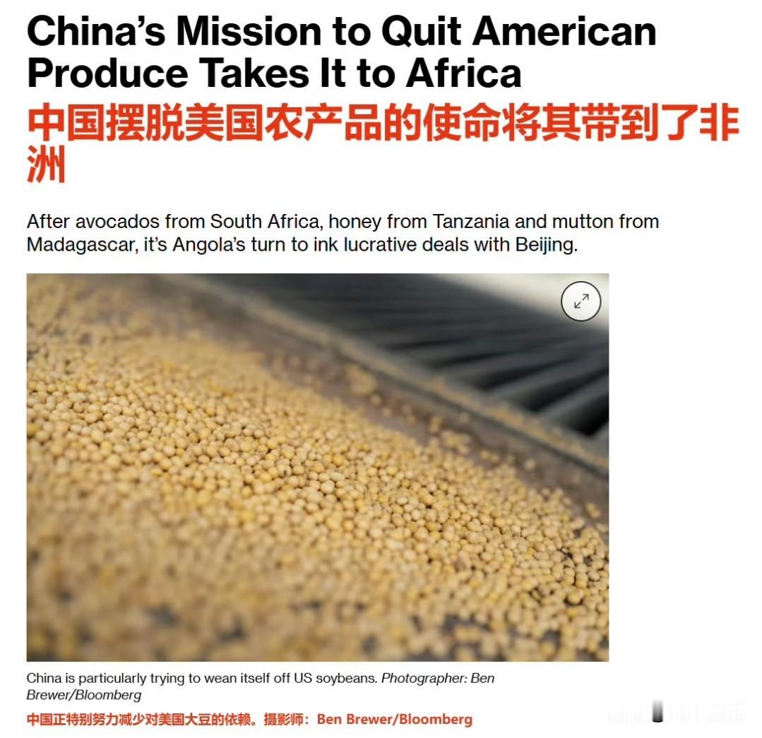 彭博社刚发的文章，指出中国为了满足国内粮食的需求，以及摆脱对美国农产品的依赖，正