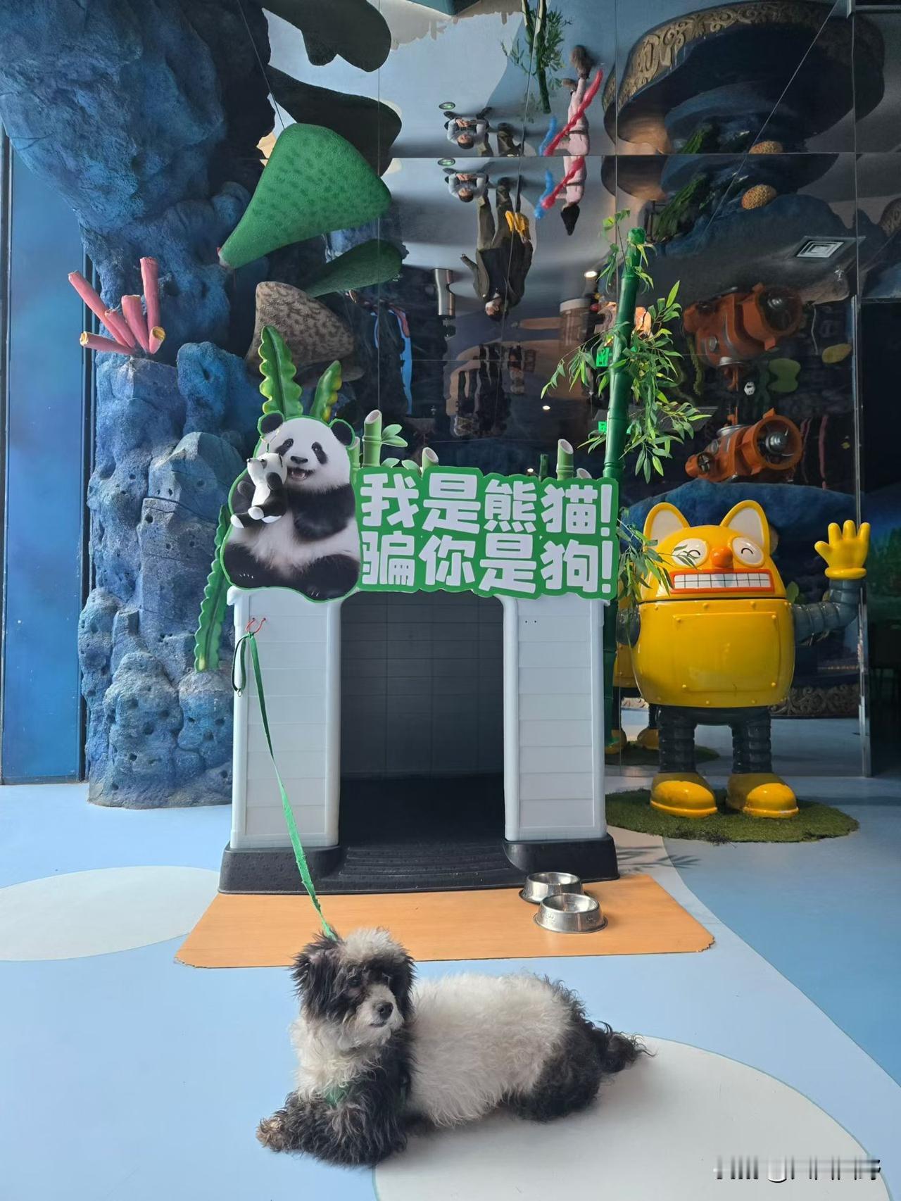 能否给讲一讲北齐的历史?北齐奠基人应该是高欢，高欢是鲜卑化的汉人，也有人认为高