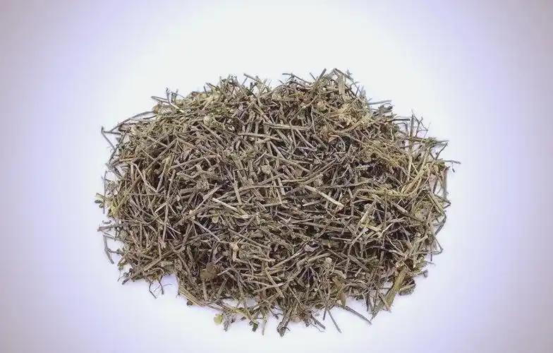 这味草药能激活免疫，化解癌毒，专克肺内顽固毒结！你可知如今肺腑遭“毒邪”侵