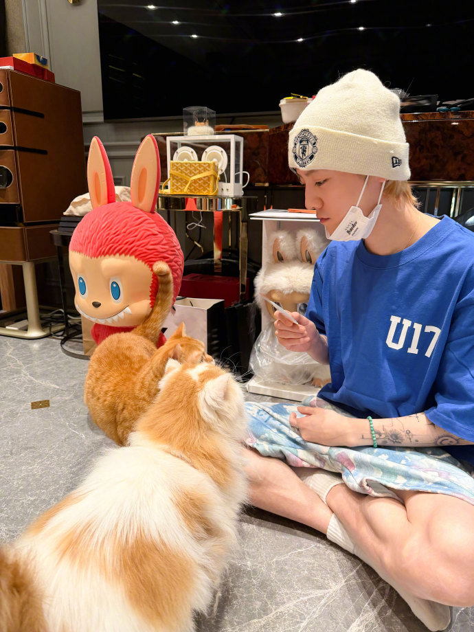 鹿晗训猫了，鹿晗和两只小橘猫，咱就说三只小可爱谁能拒绝这个同框的含金量啊，我一整