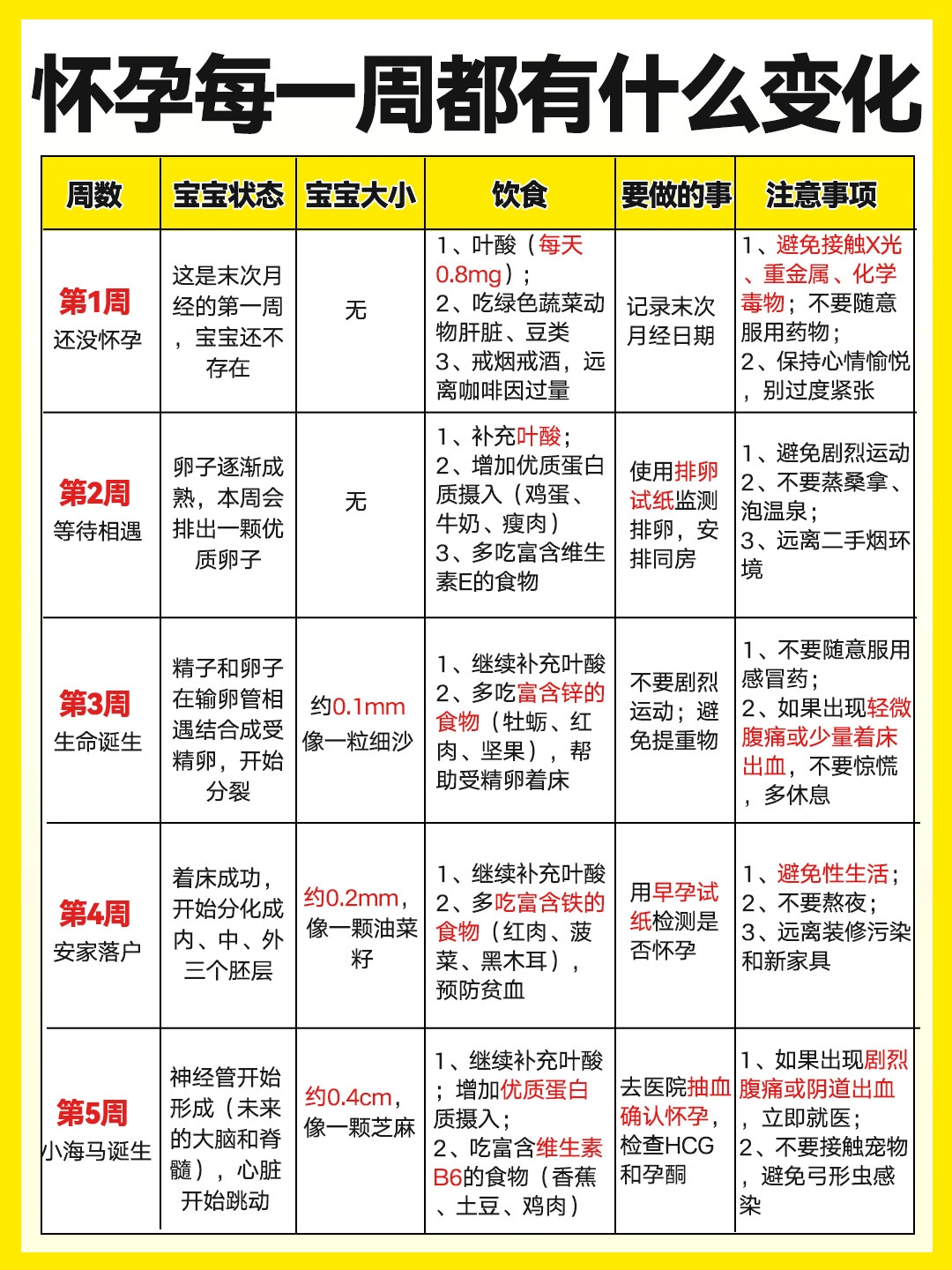 怀孕1-40周胎儿发育过程✅注意事项➕饮食营养
