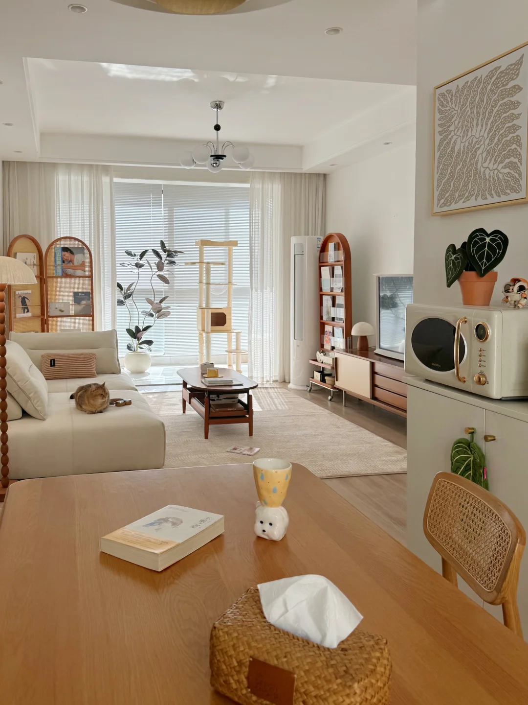 32岁独居，有个70平小家真好💛