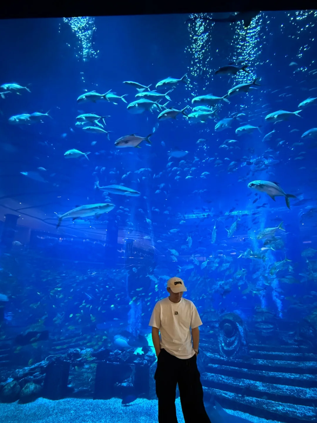 亚特兰蒂斯，来了7次了还是住完不想走🌊 来三亚 N 次 每次被问酒店...