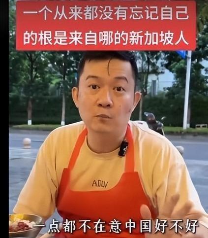 一位新加坡华人终于说了实话，他表示，在新加坡的华人，根本不在乎中国到底好不好.很