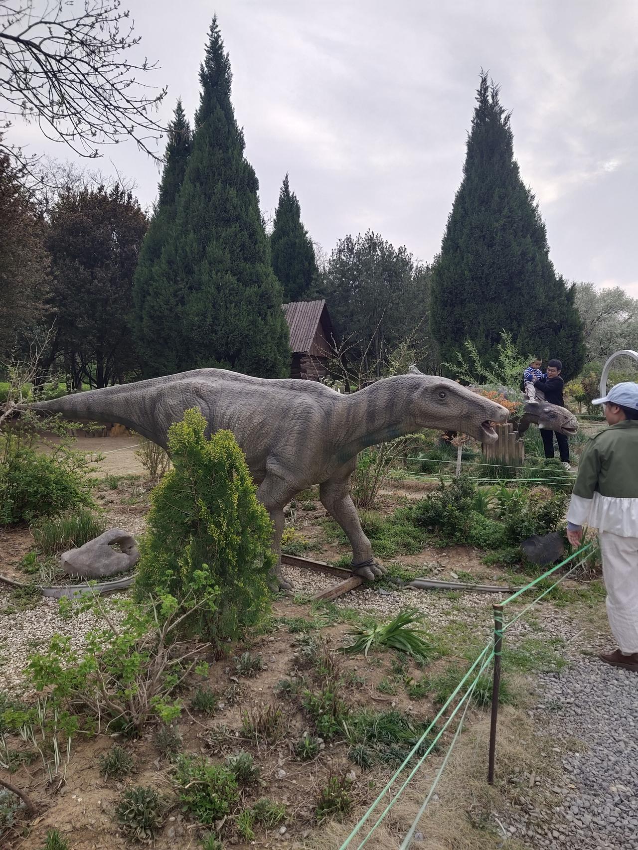 济南森林公园的恐龙展被栏杆围了起来，若想进去观看，需额外付费。今天，一位年