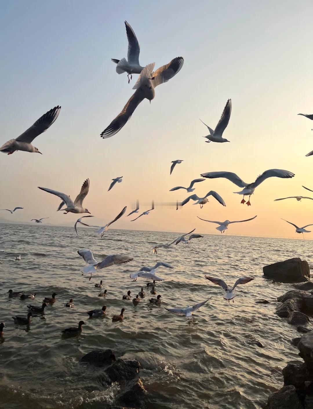 巴菲特说：投资能让一个不善交际、不喜扎堆、极度厌恶谄媚、毫无人脉关系、喜欢安静独