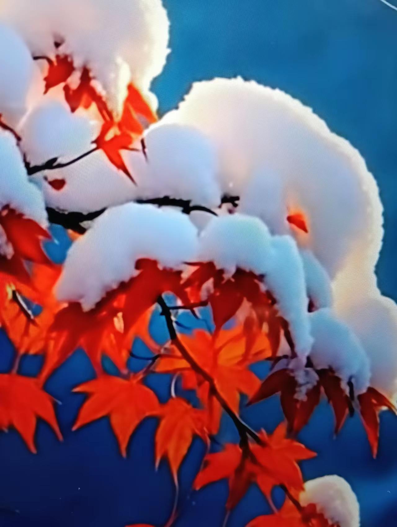 冬天早安问候语1. 晨雾轻笼窗棂，把昨夜的落雪酿成温柔。愿你推开窗时，能接住