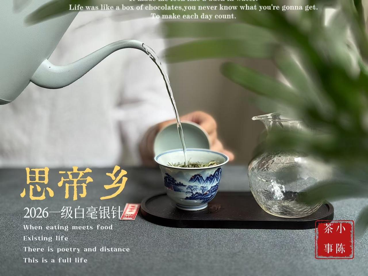5000块的茶叶泡成50块，只需做错这几步！明明是很贵的好茶，为什么泡出来很难