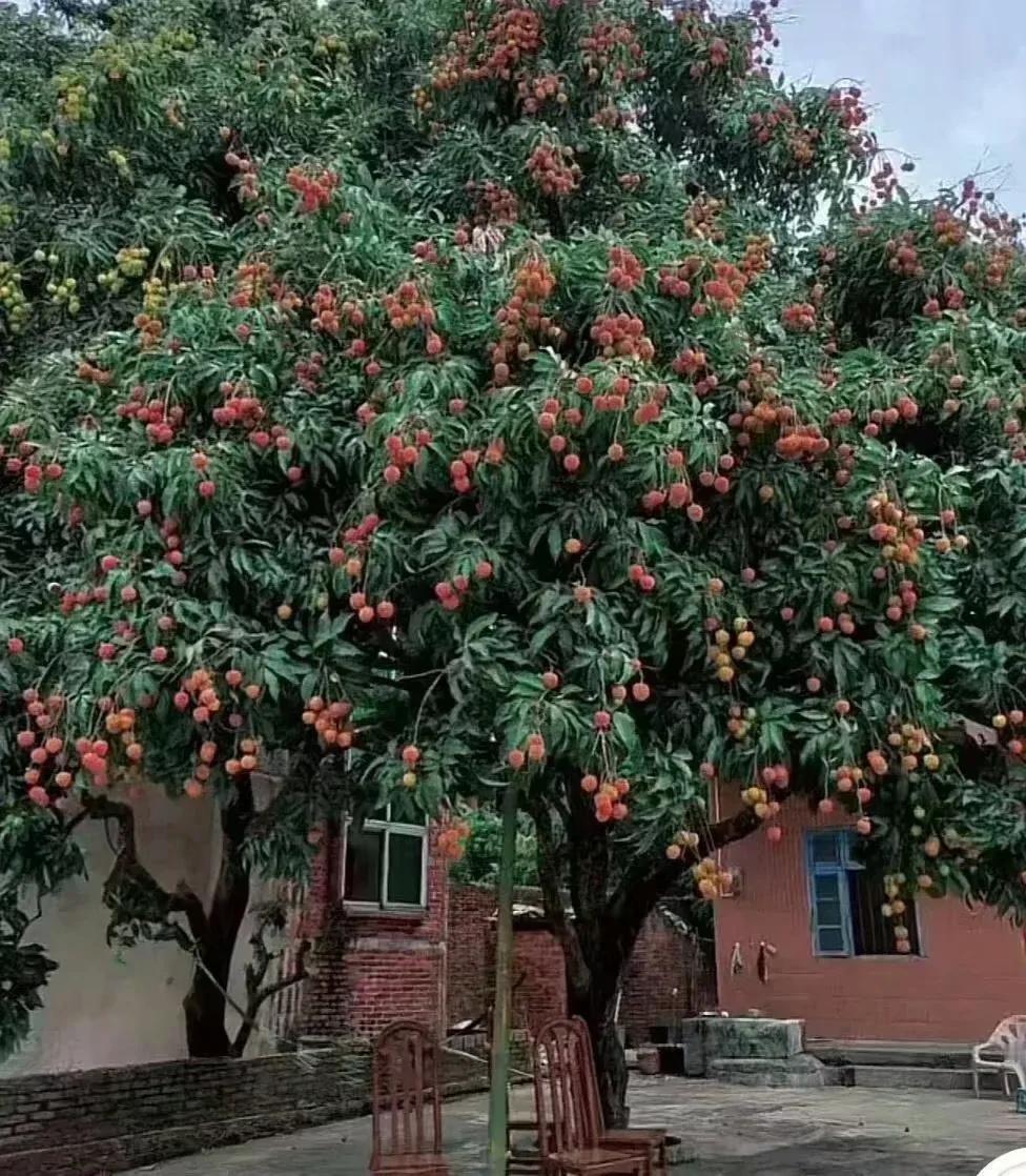 人生一世无非两大追求：一个是钱，一个是爱。钱靠“认知力”，你永远赚不到你