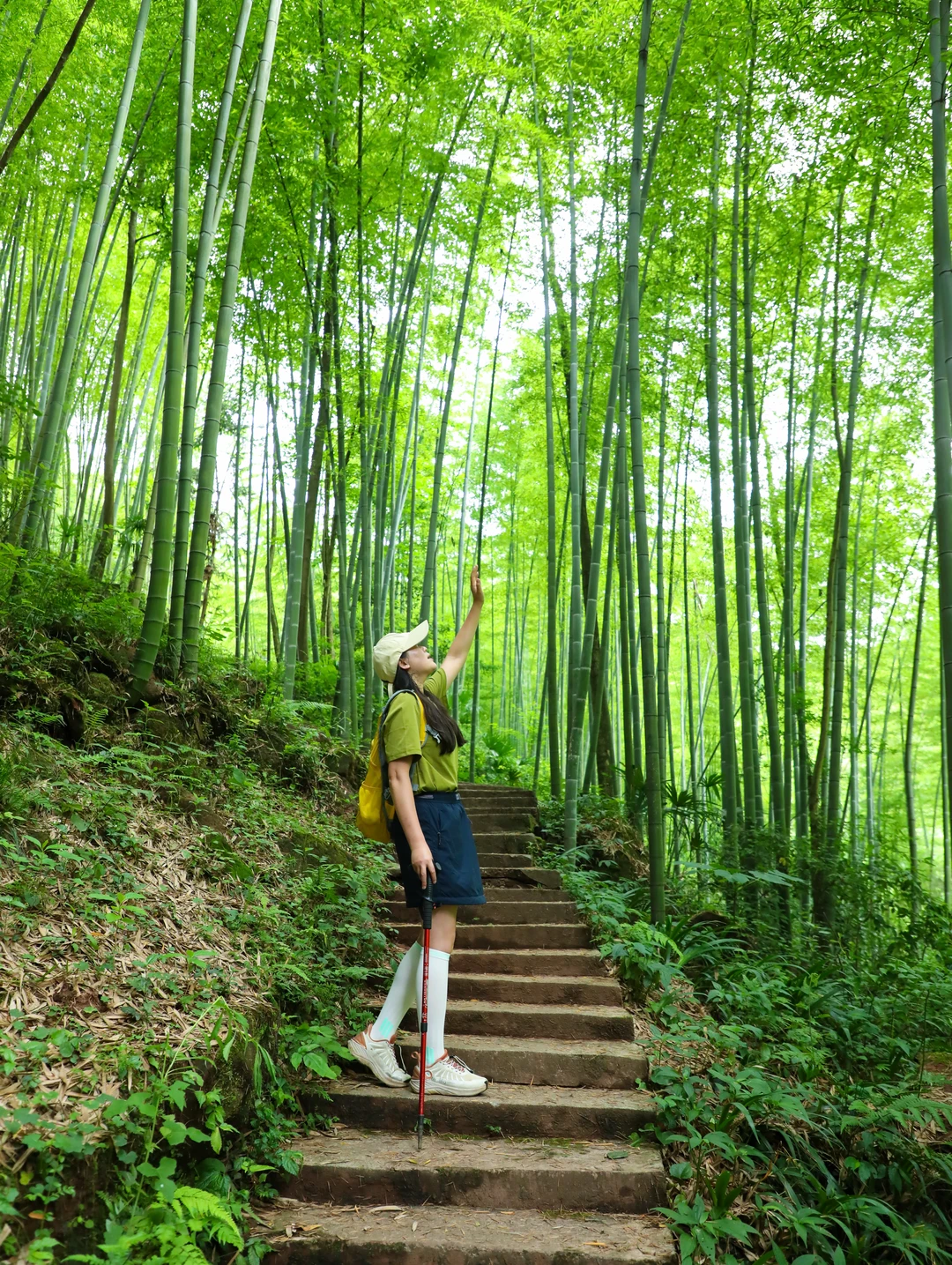 亲测不踩雷！🍃清凉不晒的溯溪轻徒步路线！